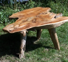 small root coffee table.JPG